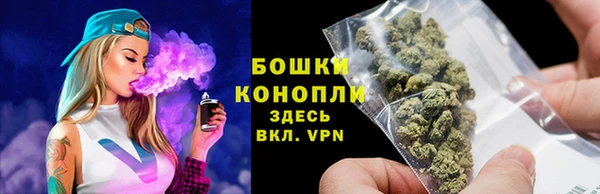 бошки Алексин