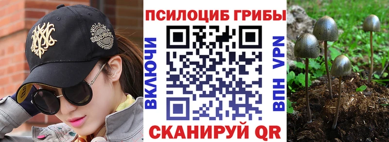 купить наркотики сайты  Новоуральск  Галлюциногенные грибы MAGIC MUSHROOMS 
